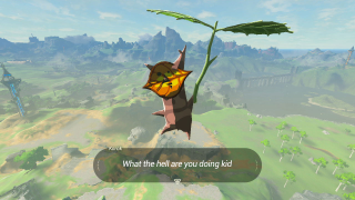 Shit My Kid Says Playing <i>Zelda</i>